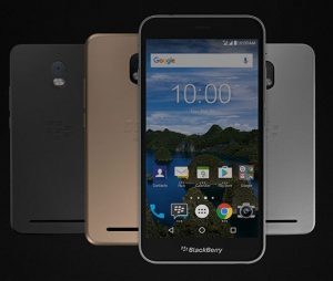 blackberry aurora